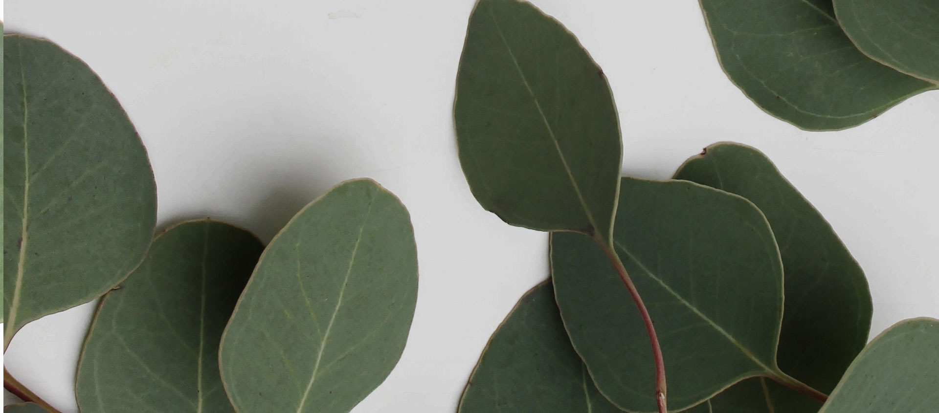 Взыскание ущерба от экологических правонарушений в Угличе